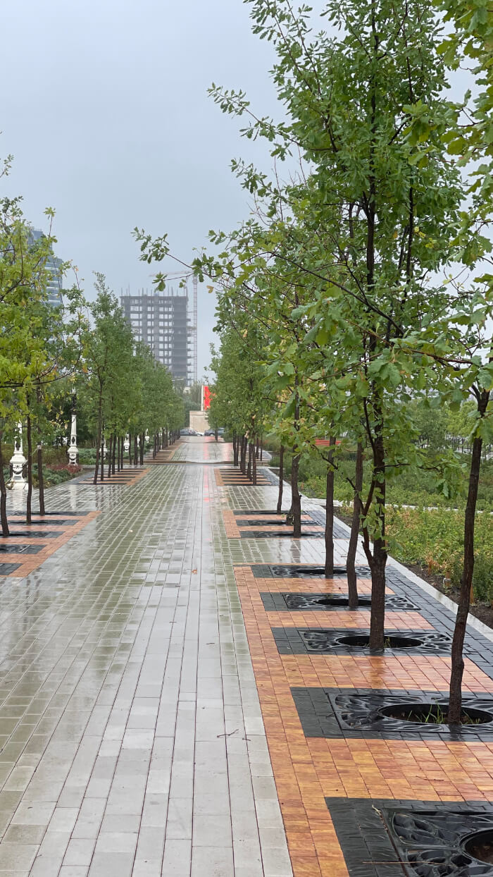 Приствольная решетка для дерева ZKING CRUST 1.2х1.2м Черная в Зеленокумске фото