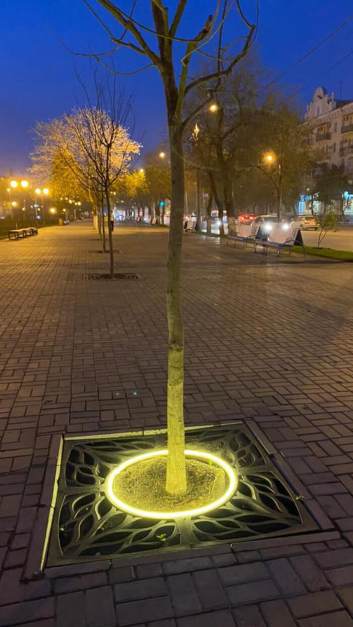 Приствольная решетка для дерева ZKING CRUST 1.2х1.2м Черная в Зеленокумске фото